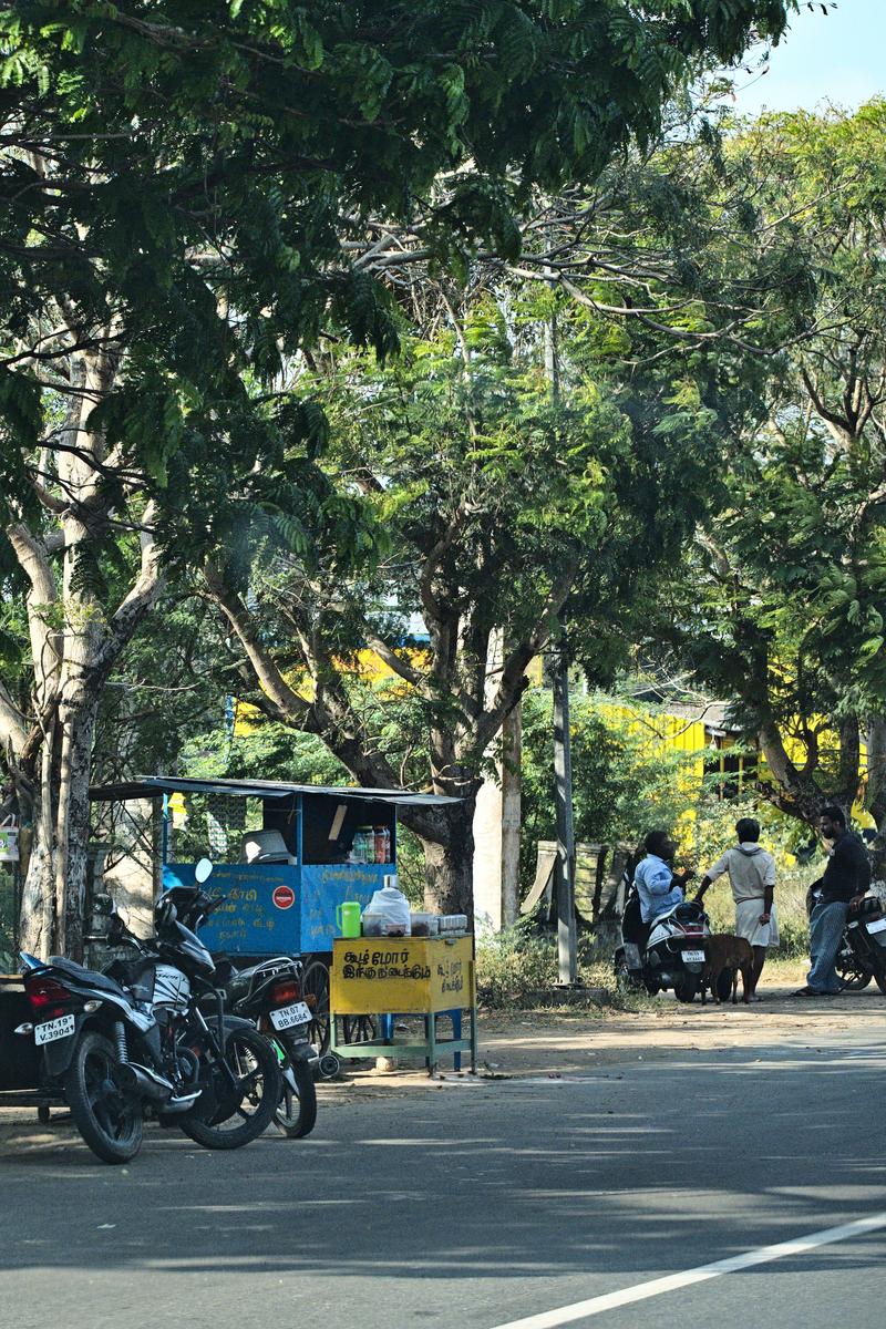 Somewhere on the road in Tamil Nadu, India