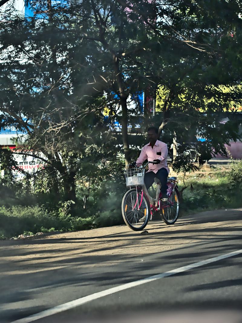 Somewhere on the road in Tamil Nadu, India