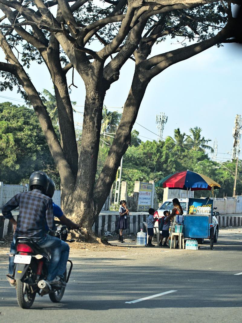 Somewhere on the road in Tamil Nadu, India