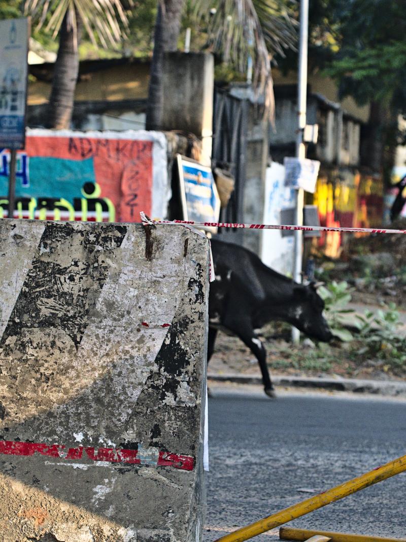 Chennai, Tamil Nadu, India