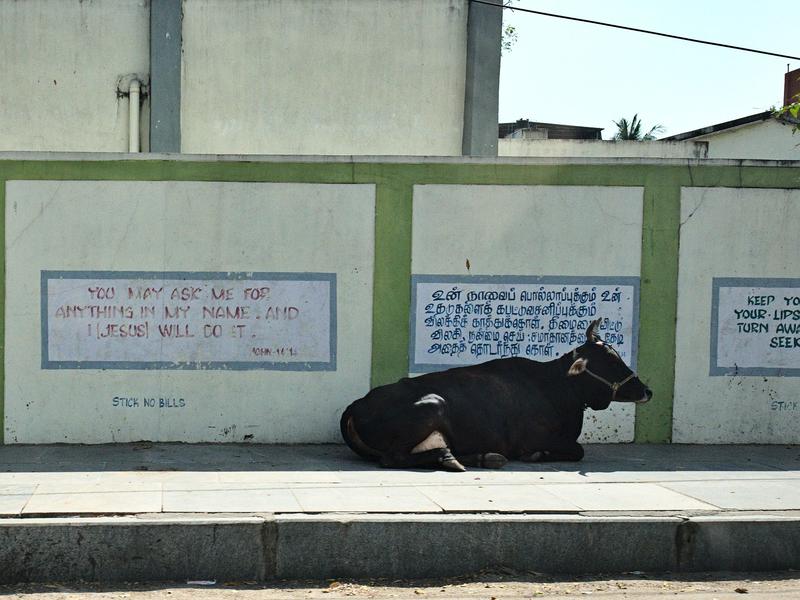 Chennai, Tamil Nadu, India