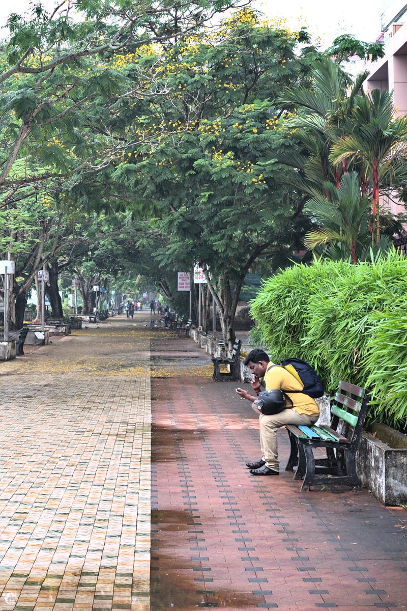 Kochi City, Kerala, India