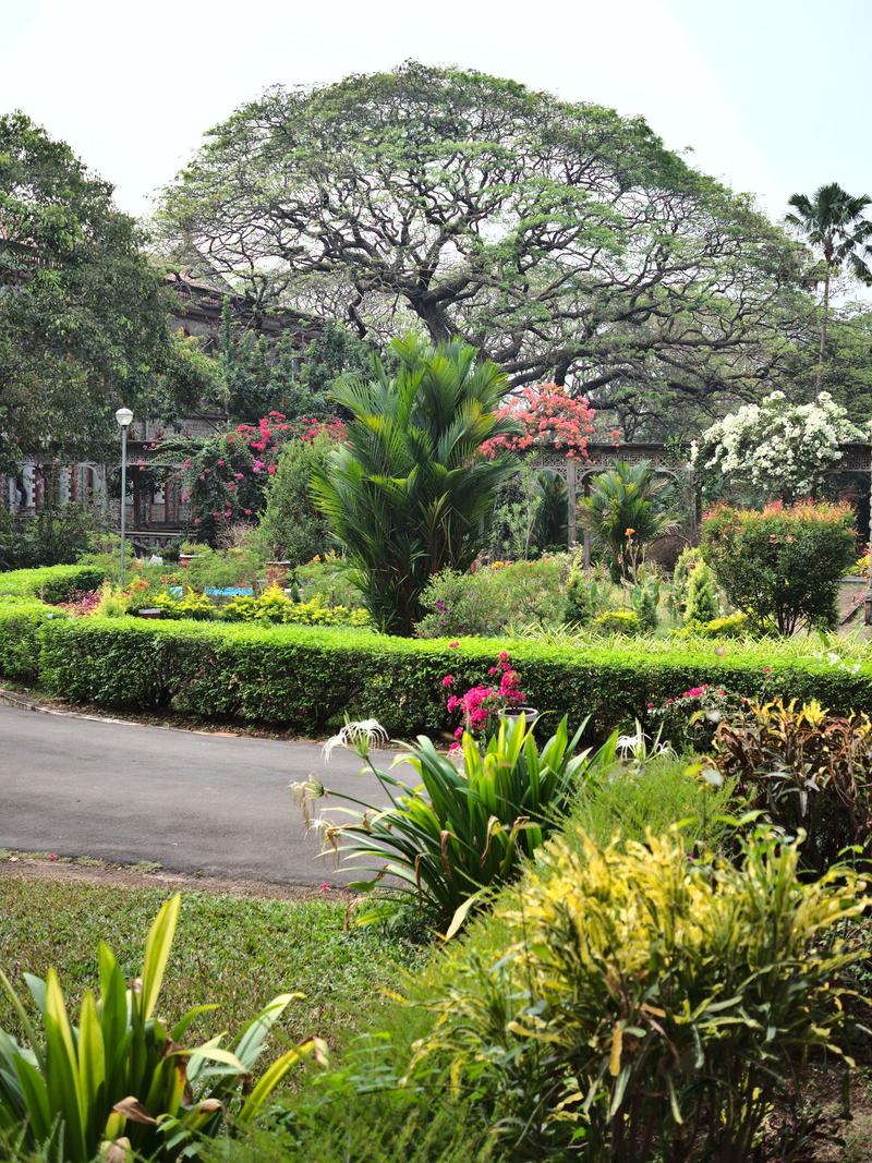 Kochi City, Kerala, India