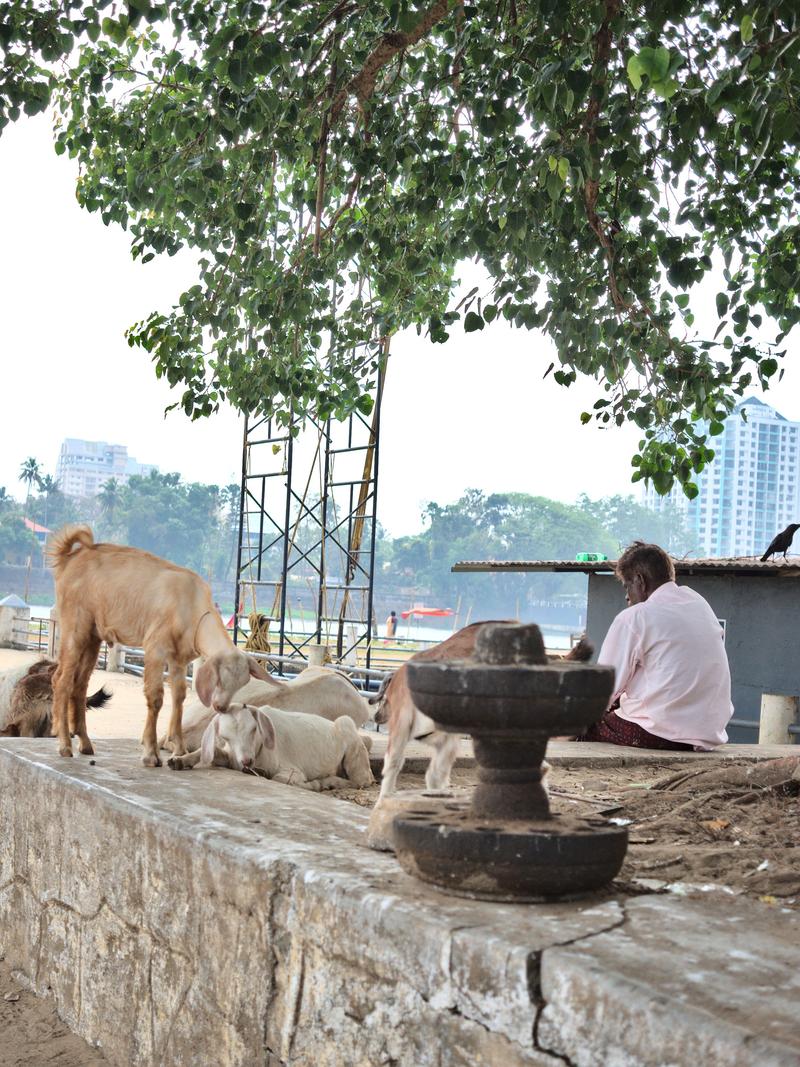 Kochi City, Kerala, India