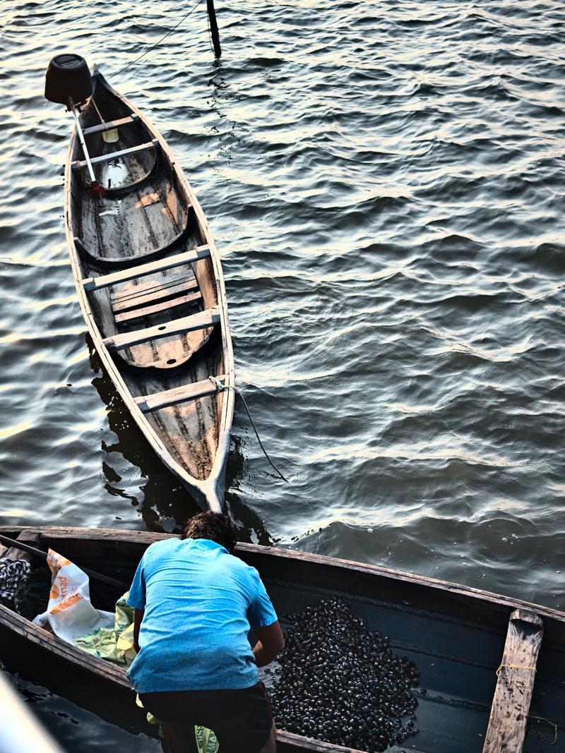 Kochi City, Kerala, India