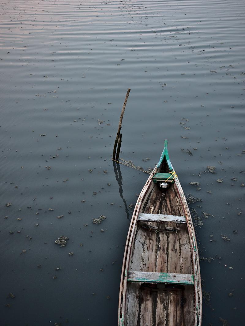 Kochi City, Kerala, India