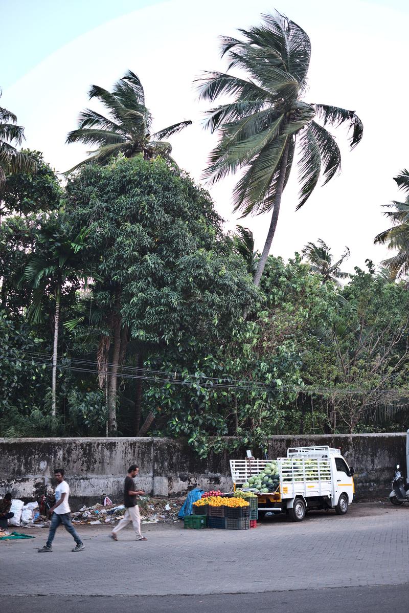 Kochi City, Kerala, India