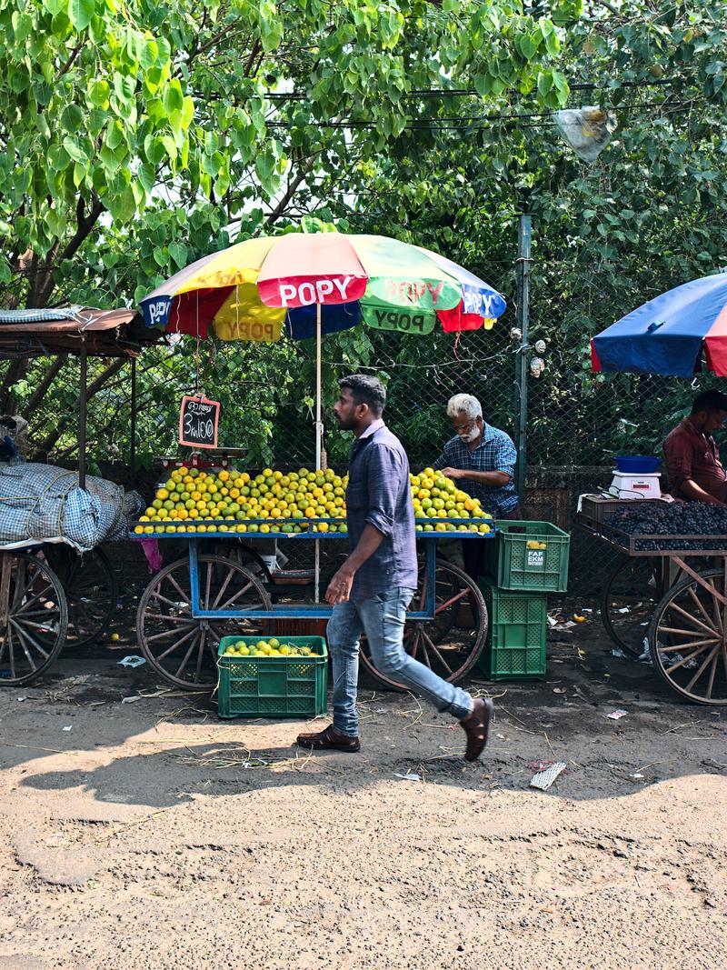 Kochi City, Kerala, India