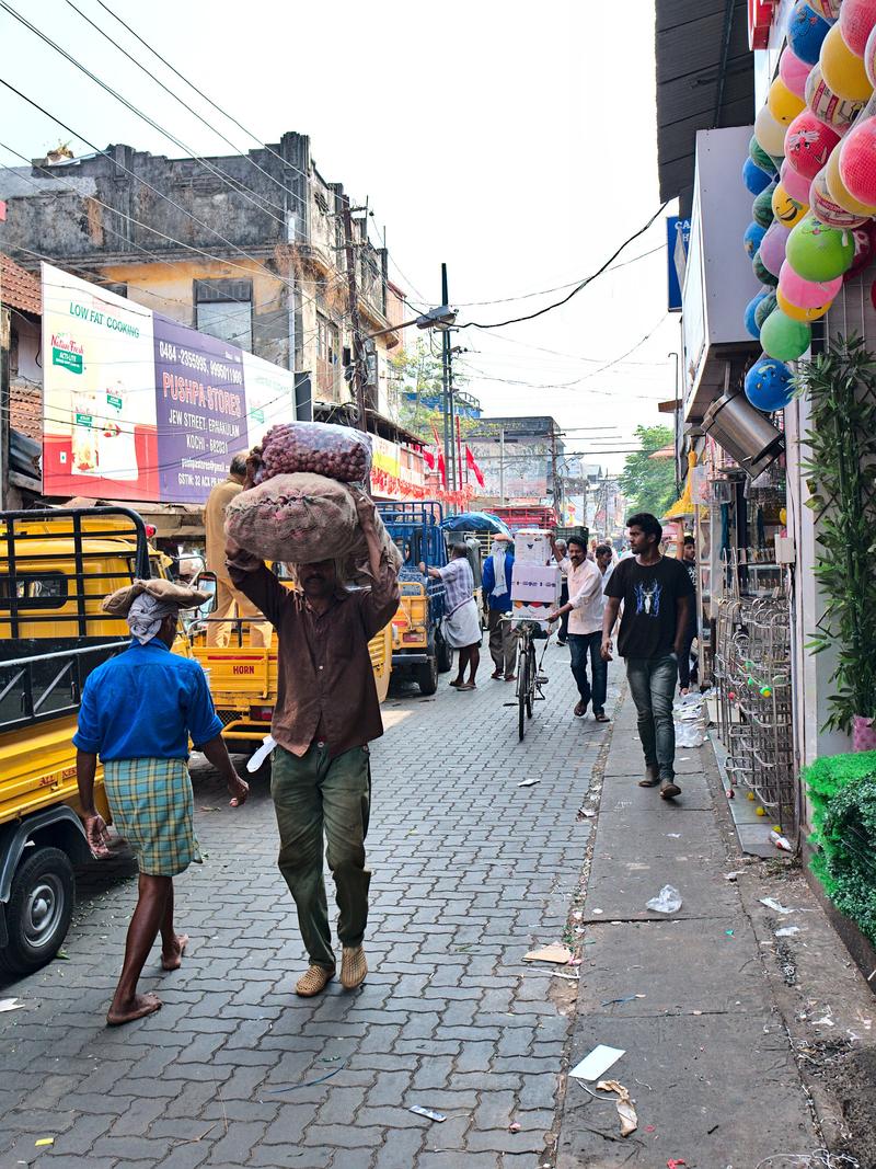 Kochi City, Kerala, India