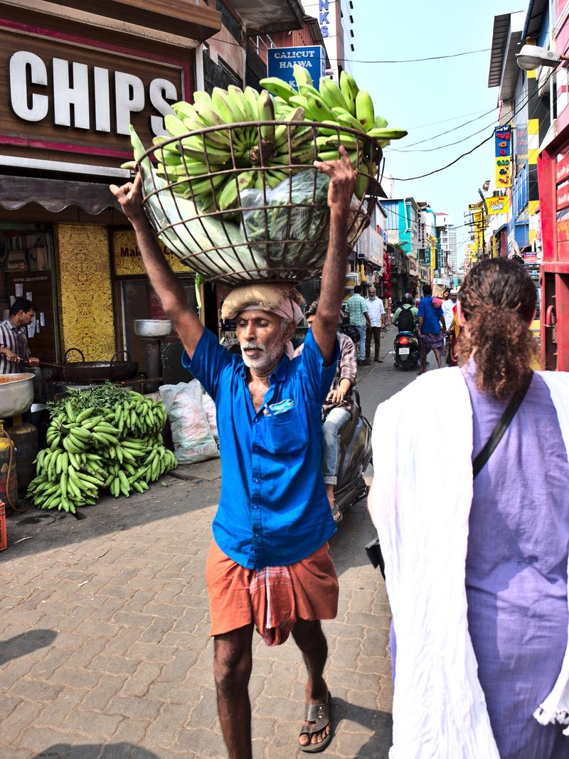 Kochi City, Kerala, India