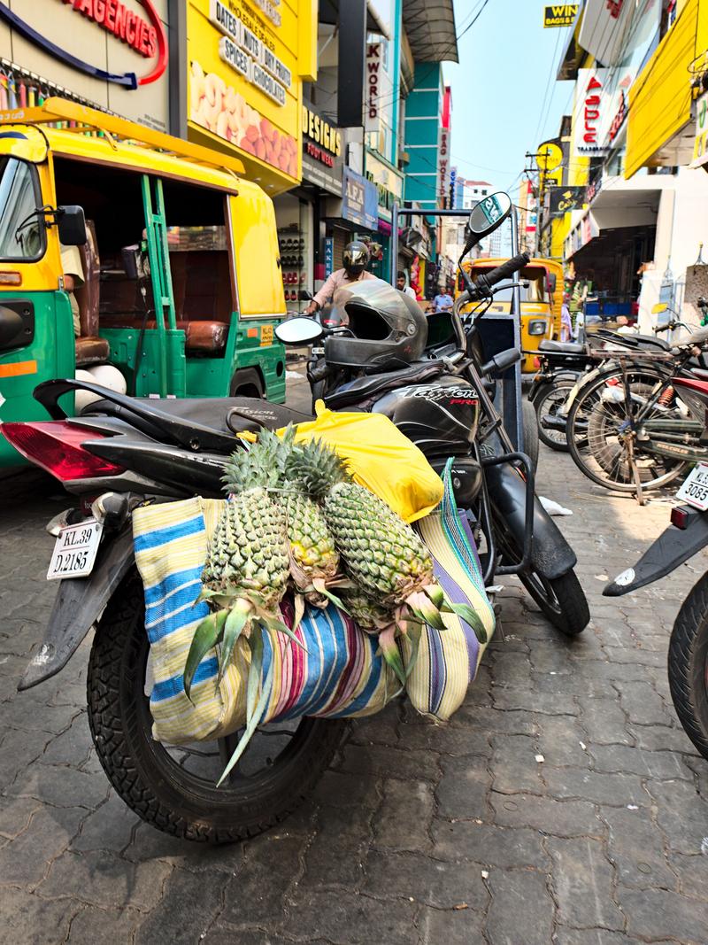 Kochi City, Kerala, India