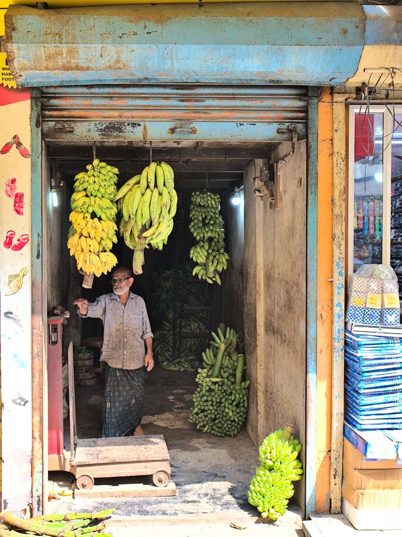 Kochi City, Kerala, India