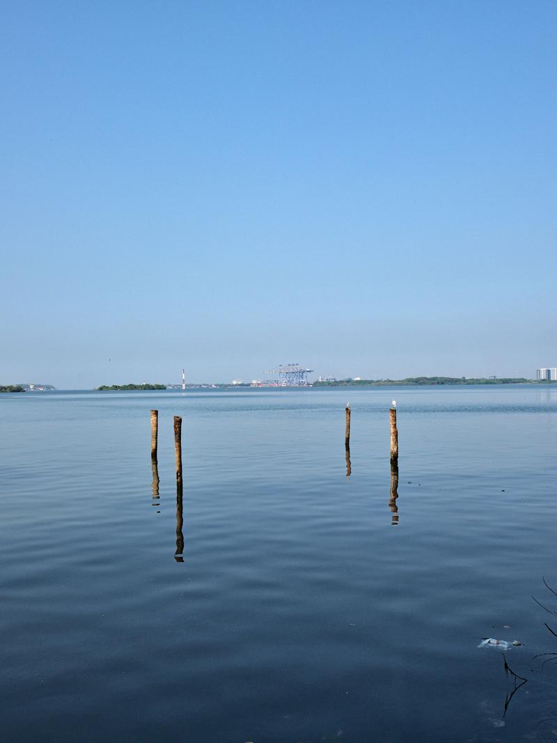 Kochi City, Kerala, India