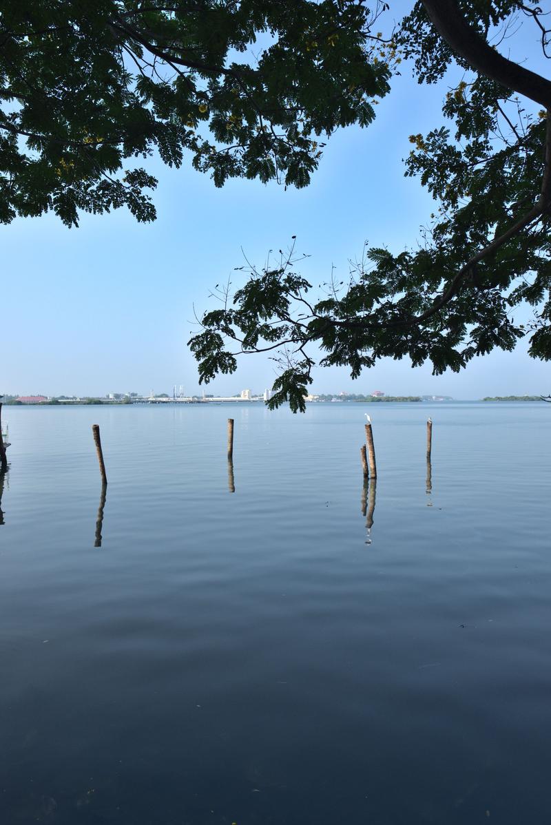 Kochi City, Kerala, India