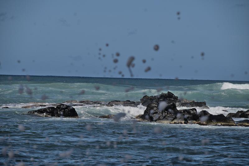 Oahu, Hawaii