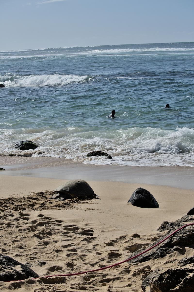 Oahu, Hawaii