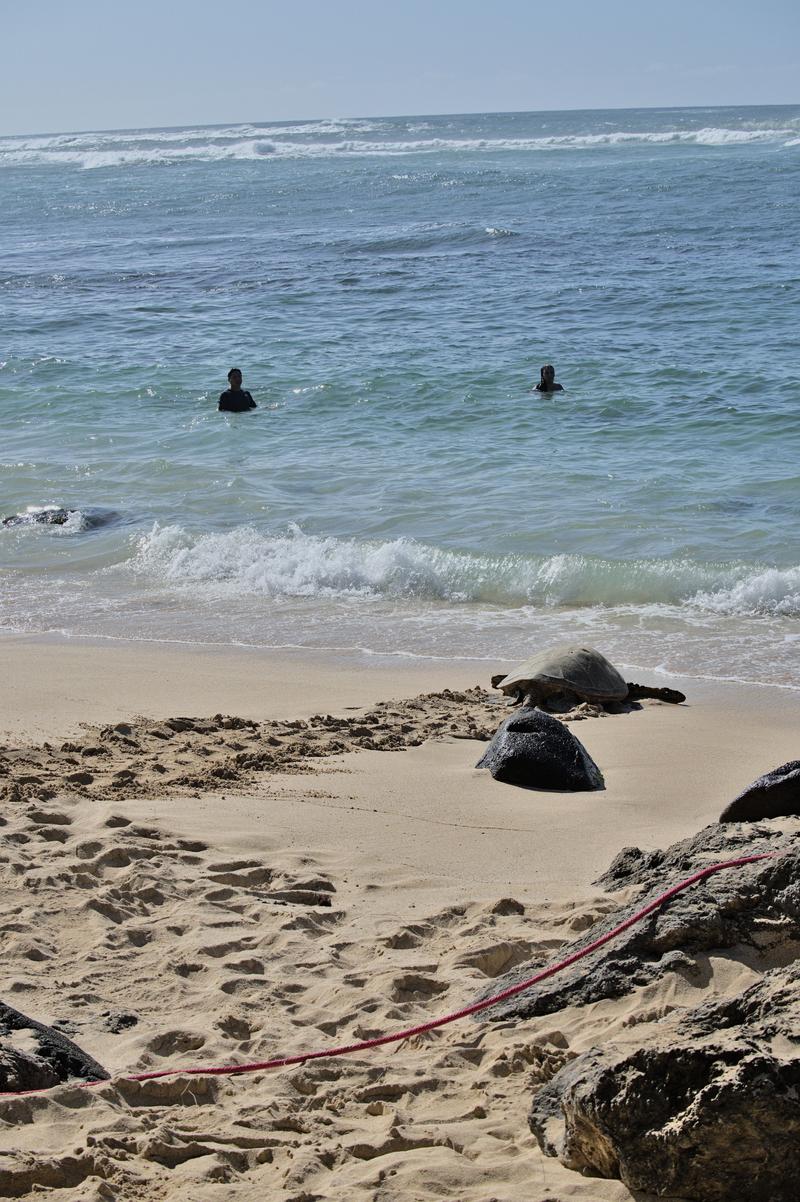 Oahu, Hawaii