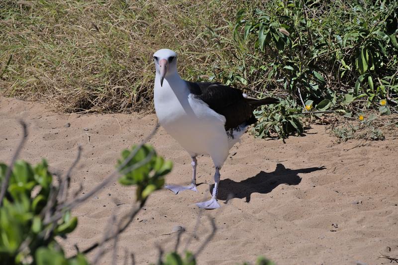 Oahu, Hawaii