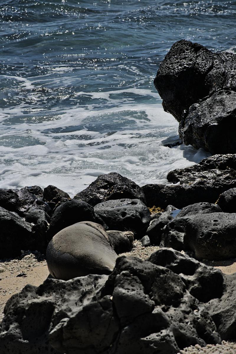 Oahu, Hawaii