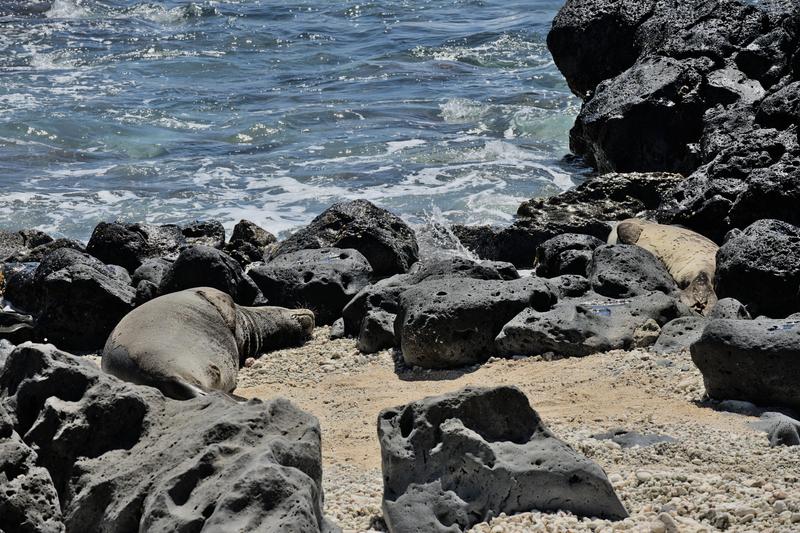 Oahu, Hawaii