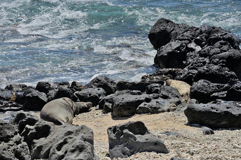 Oahu, Hawaii