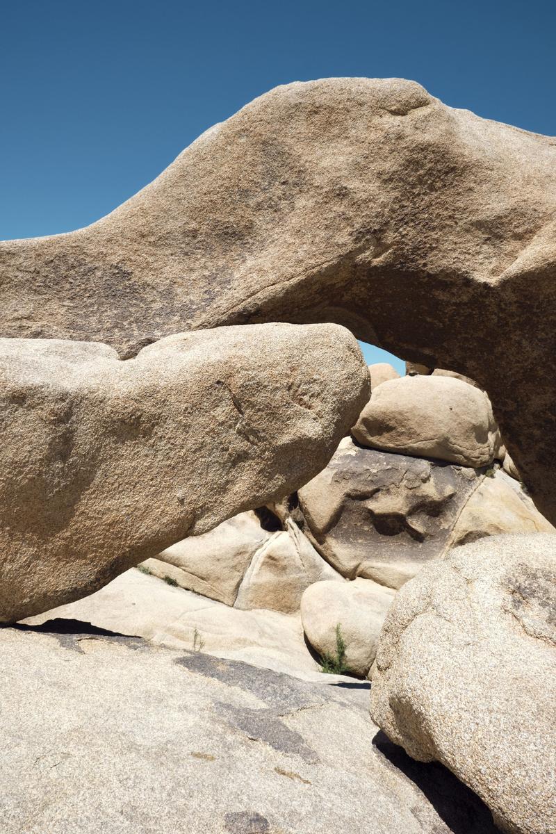 Joshua Tree National Park