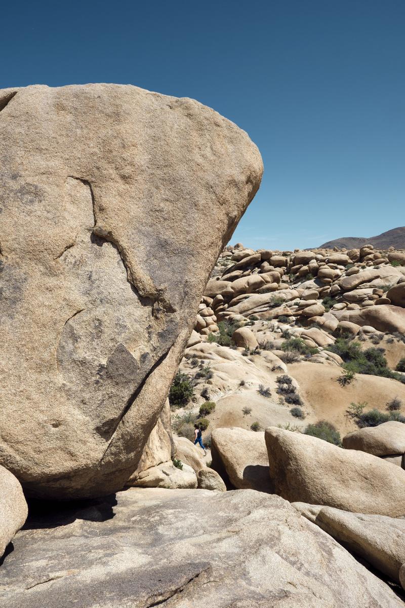 Joshua Tree National Park