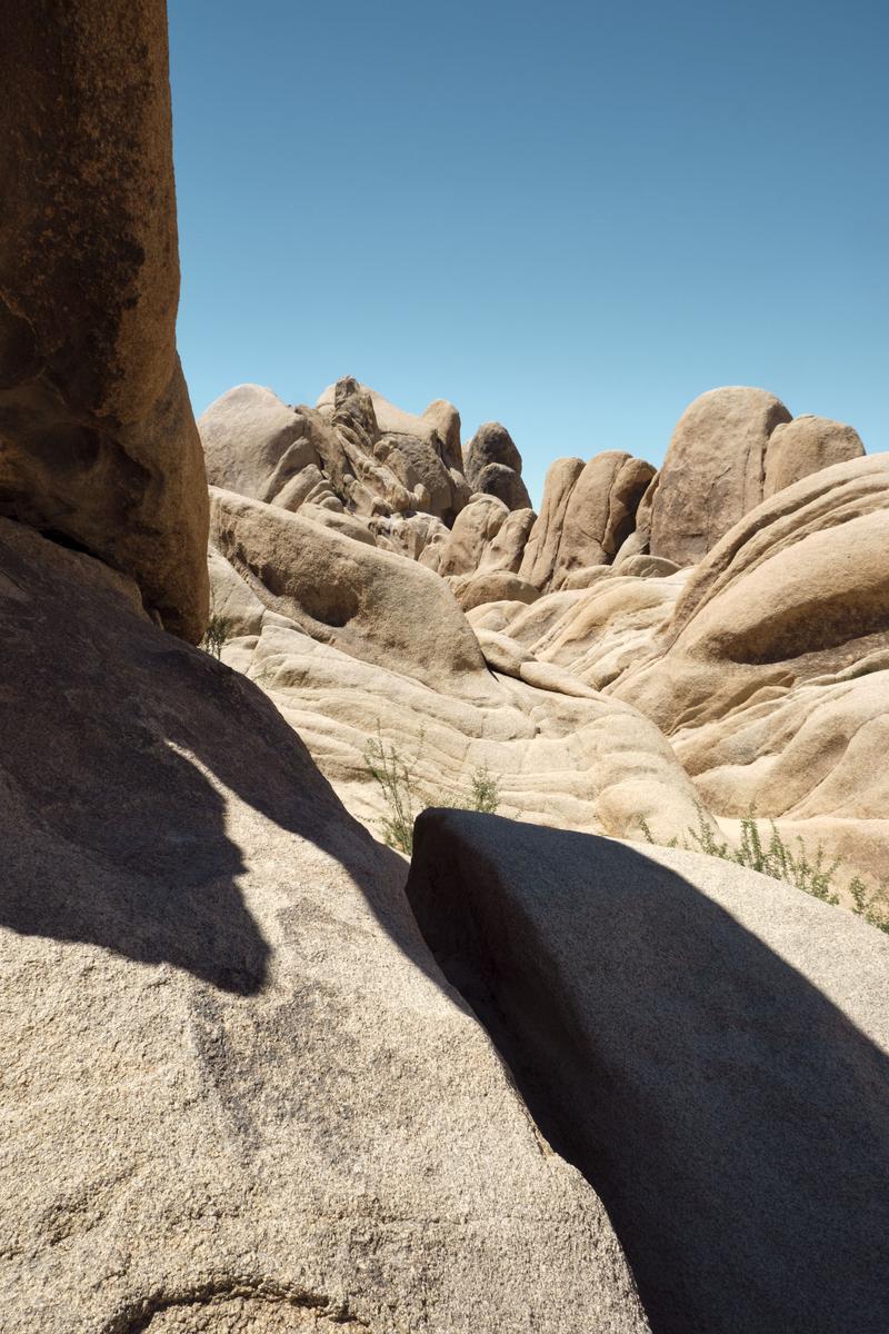 Joshua Tree National Park