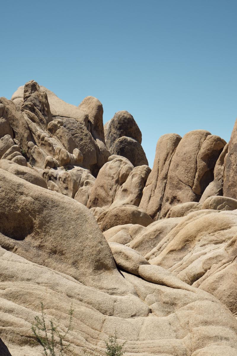 Joshua Tree National Park