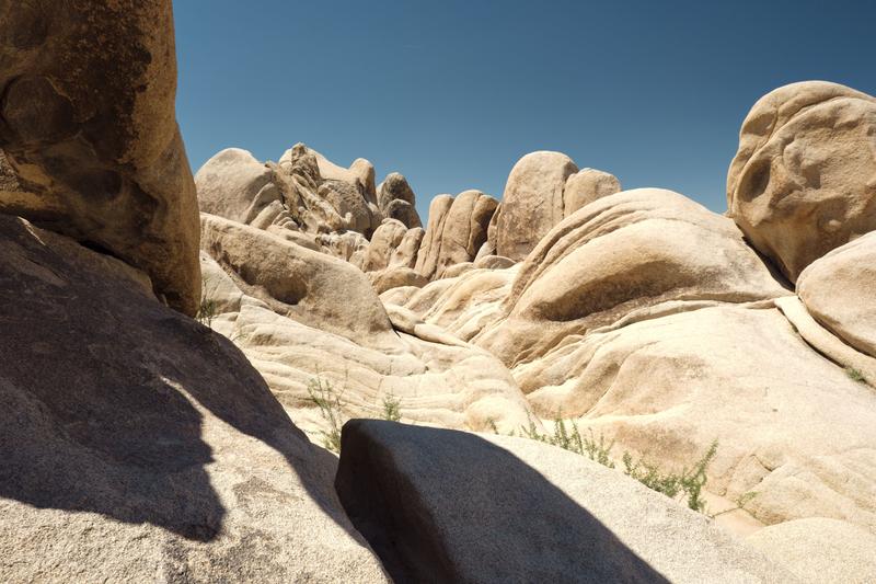 Joshua Tree National Park