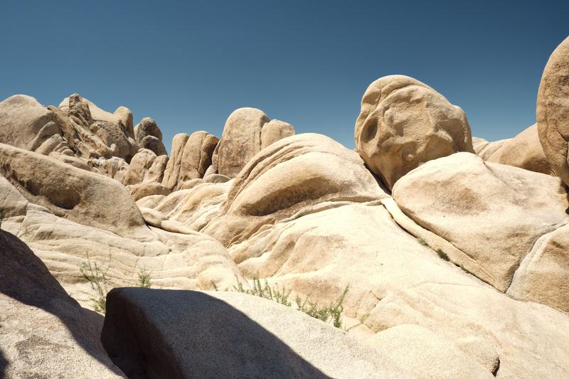 Joshua Tree National Park