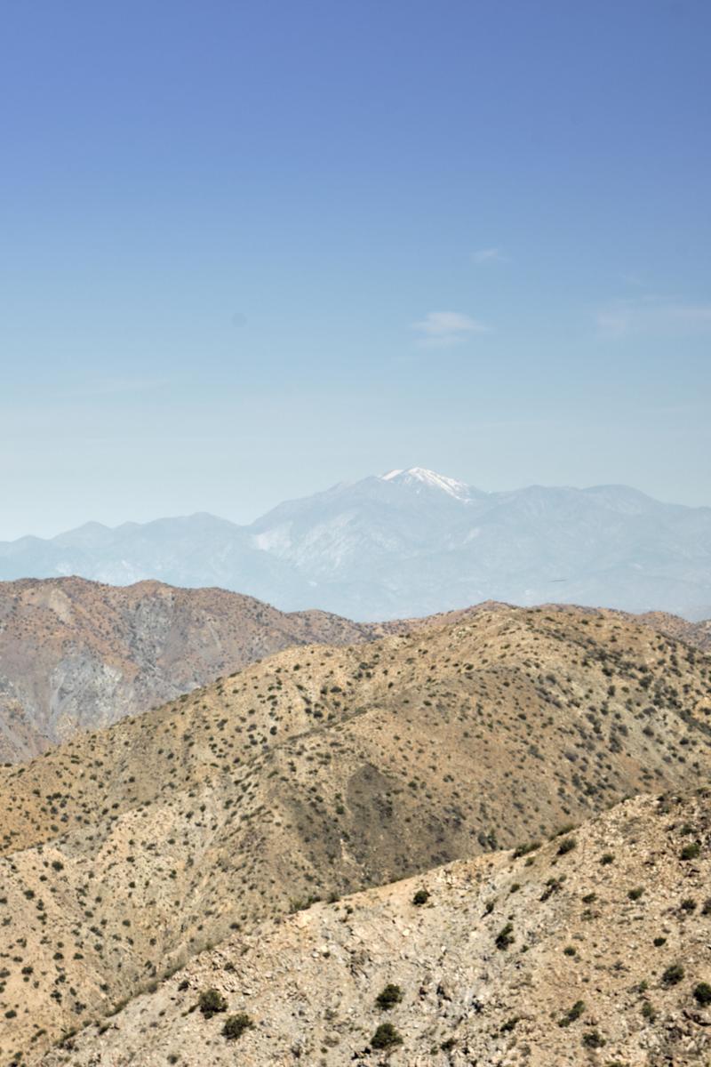 Joshua Tree National Park