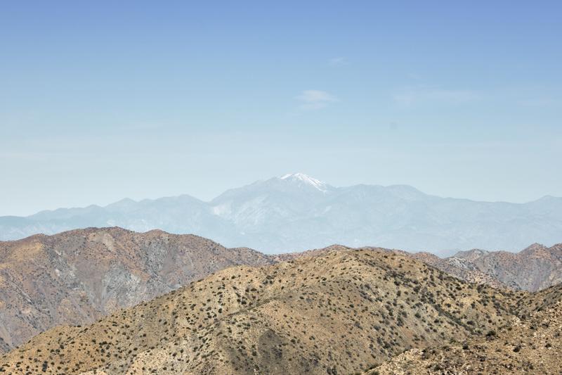 Joshua Tree National Park