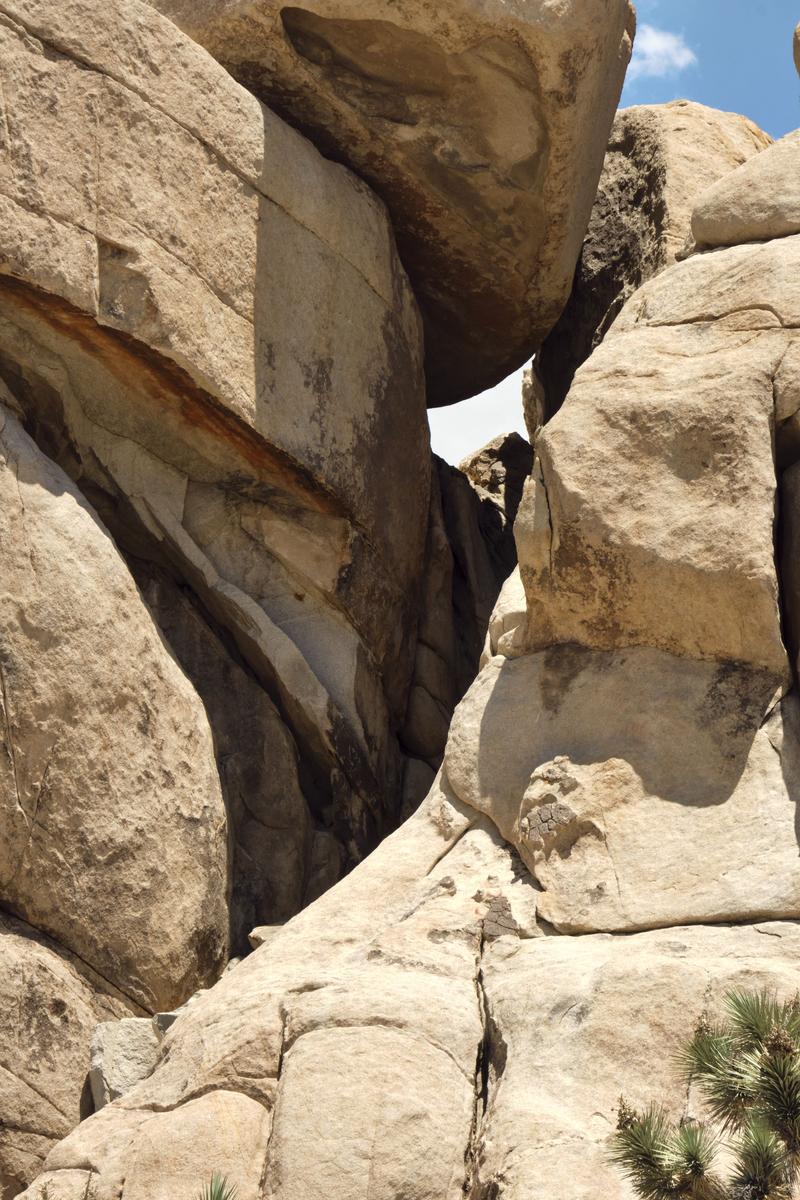 Joshua Tree National Park