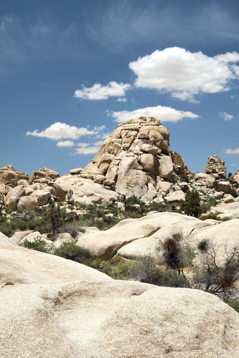 Joshua Tree National Park