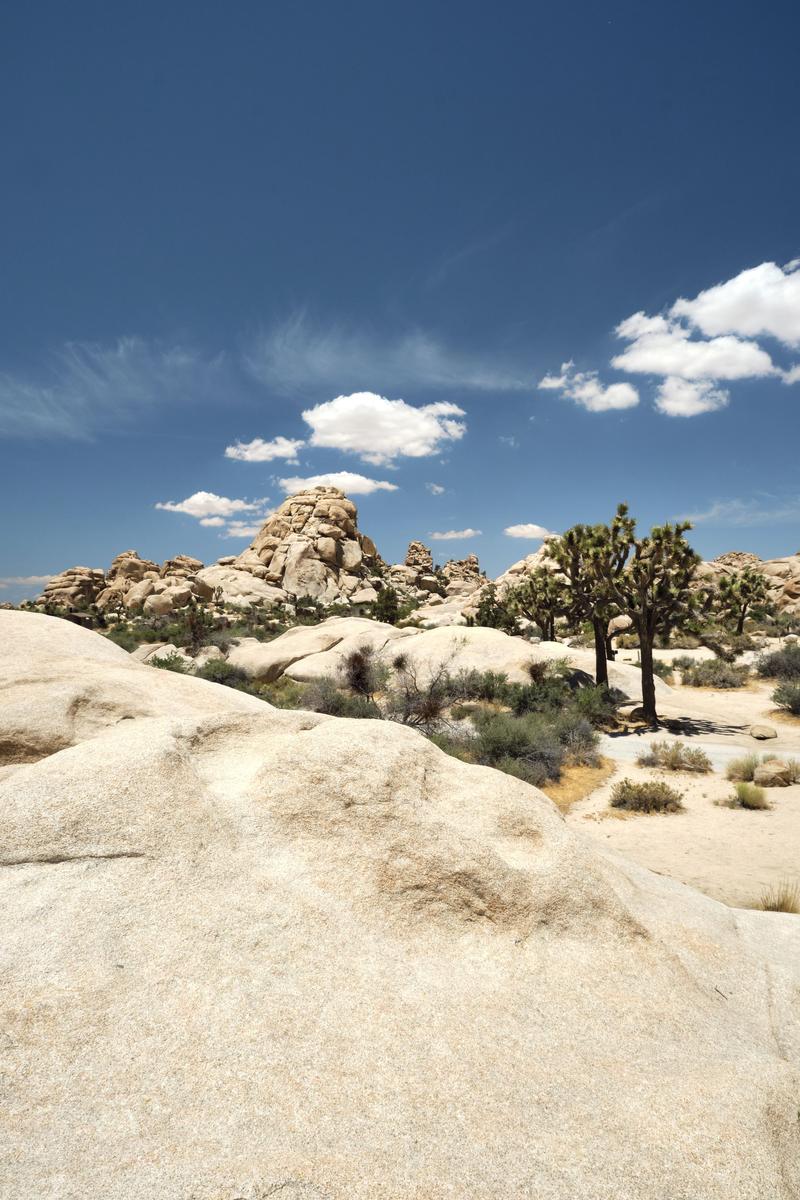 Joshua Tree National Park