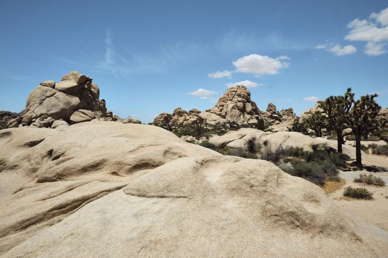 Joshua Tree National Park