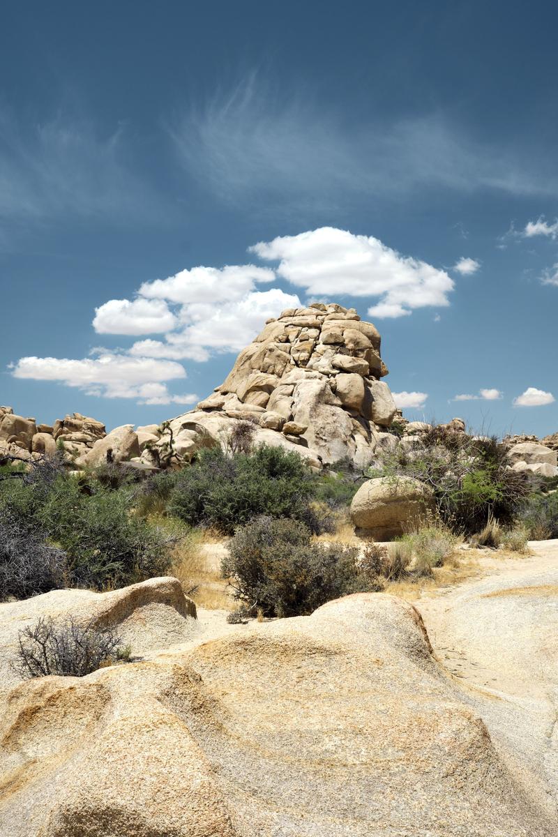 Joshua Tree National Park