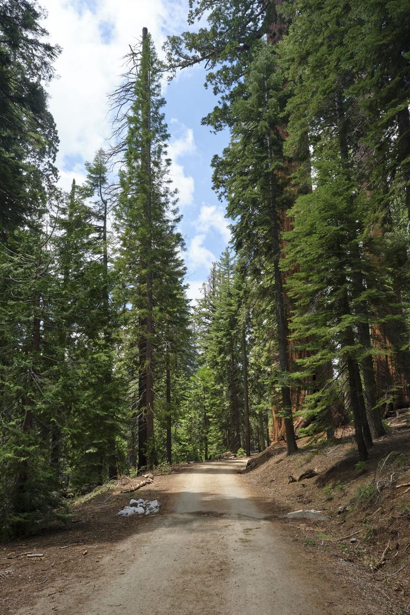 Sequoia and Kings Canyon National Parks