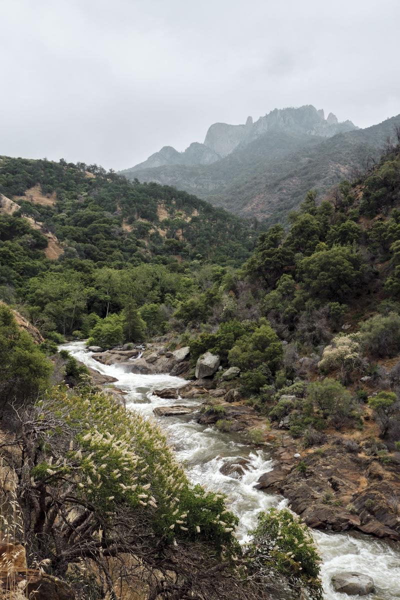 Sequoia and Kings Canyon National Parks