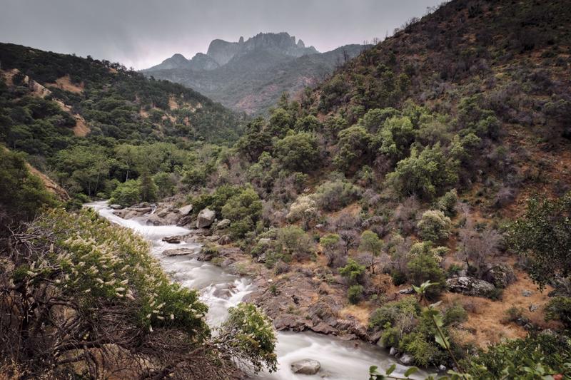 Sequoia and Kings Canyon National Parks