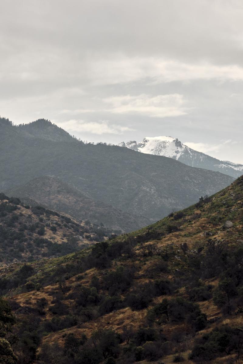 Sequoia and Kings Canyon National Parks