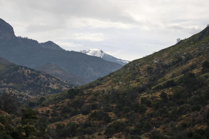 Sequoia and Kings Canyon National Parks