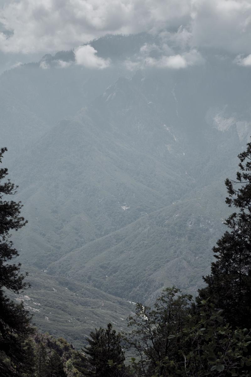 Sequoia and Kings Canyon National Parks