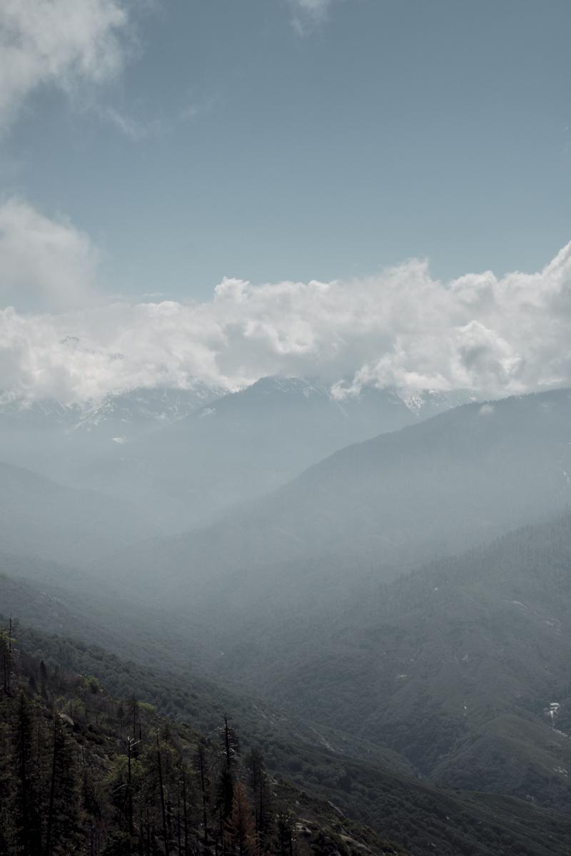 Sequoia and Kings Canyon National Parks