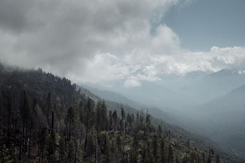 Sequoia and Kings Canyon National Parks