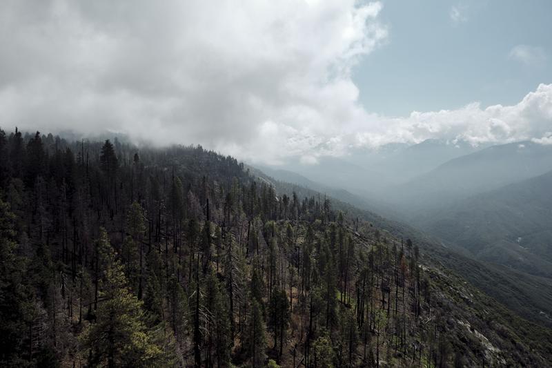 Sequoia and Kings Canyon National Parks