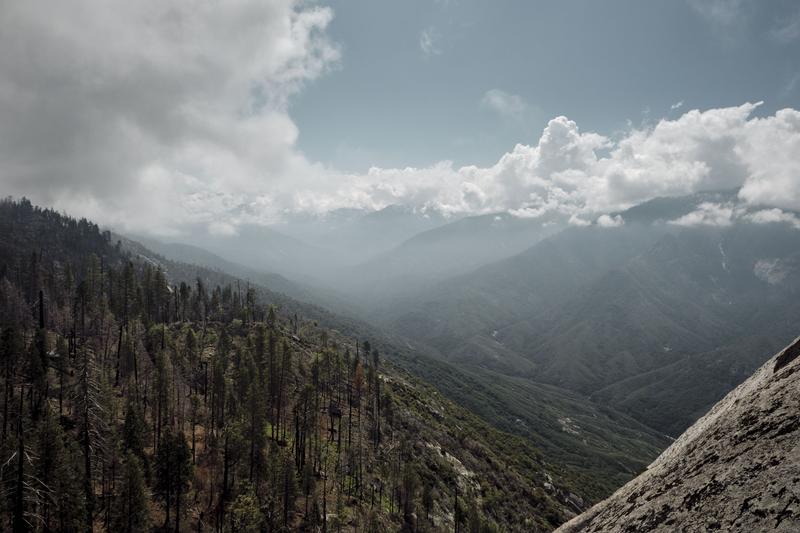 Sequoia and Kings Canyon National Parks