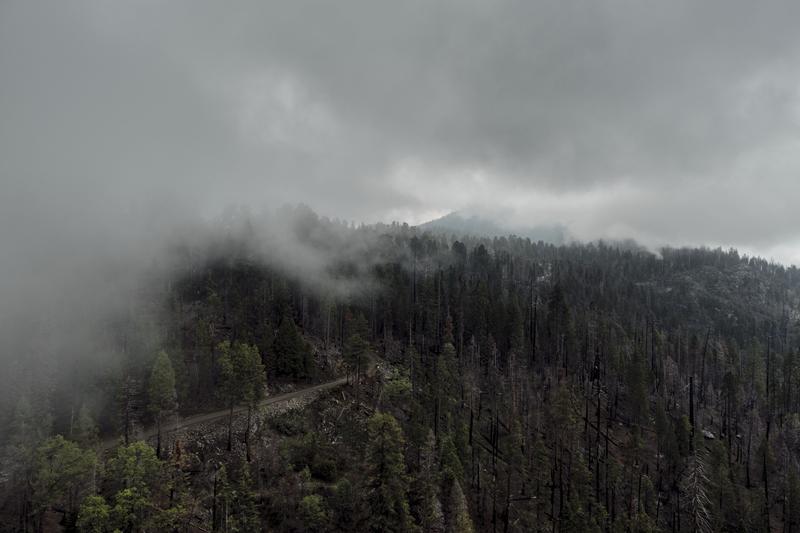 Sequoia and Kings Canyon National Parks