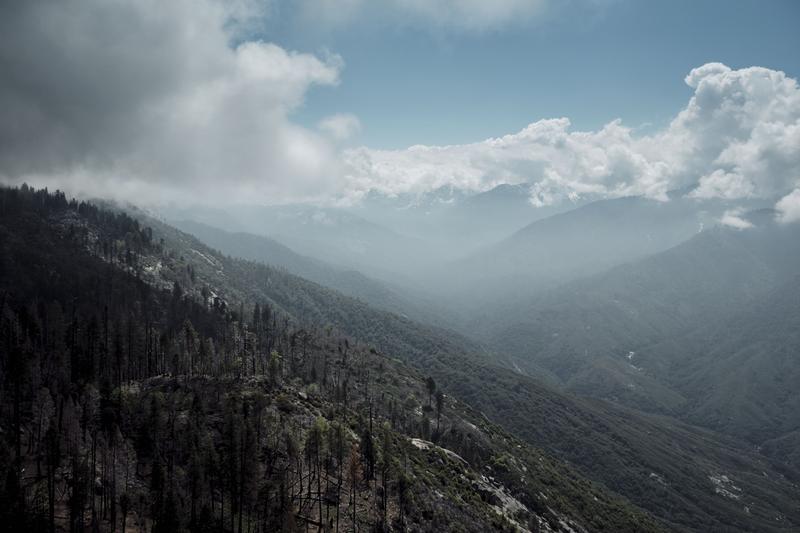 Sequoia and Kings Canyon National Parks